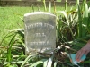 Francis Erwin(abt. 1821-Feb. 6, 1899) Civil War Marker, Wilkesville Cemetery, Vinton County, Ohio